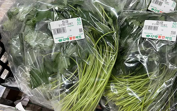 Short-Fruit Pimpinella 참나물 (cham-na-mul)