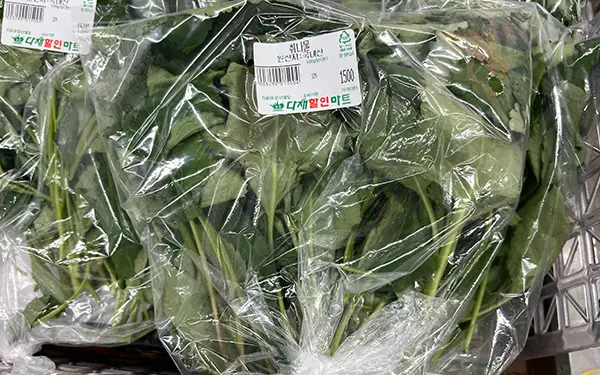 Chwinamul/Aster Scaber 취나물 (chwi-na-mul)