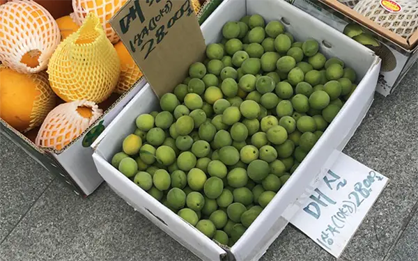 Green Plum 매실 (mae-sil)