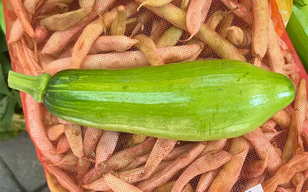 Korean Squash/Korean Zucchini 애호박 (ae-ho-bak)