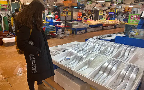 Buying, Freshness, and Storing Seafood & Fish