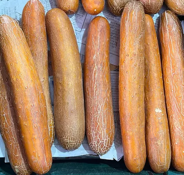 Old Cucumber 노각 (no-gak)