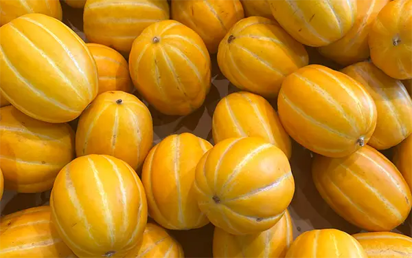 Oriental Melon 참외 (cham-ae)