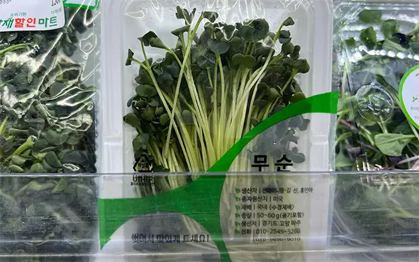 Radish Sprouts 무순 (mu-sun)