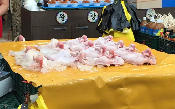 Buying, Freshness, and Storing Poultry