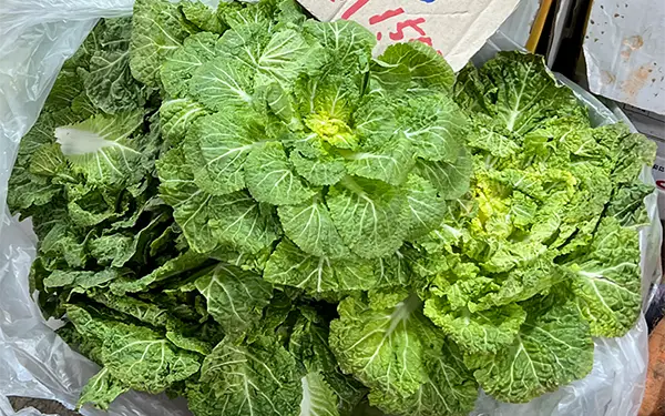 Spring Cabbage/Bom Dong 봄동 (bom-dong)