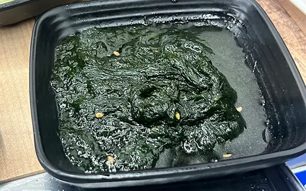 Stringy Seaweed 감태/가시파래 (gam-tae/ga-si-pa-rae)