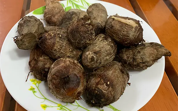 Taro 토란 (to-ran)