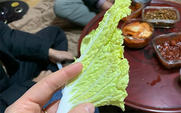 Winter Cabbage 월동배추 (wol-ttong bae-chu)
