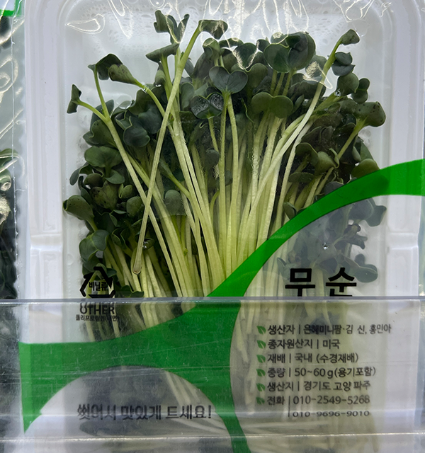 Radish Sprouts 무순 (mu-sun)