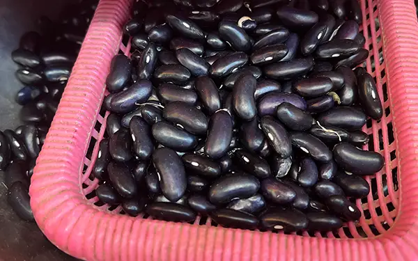 Black Bean 검은콩 (go-meun-kong)