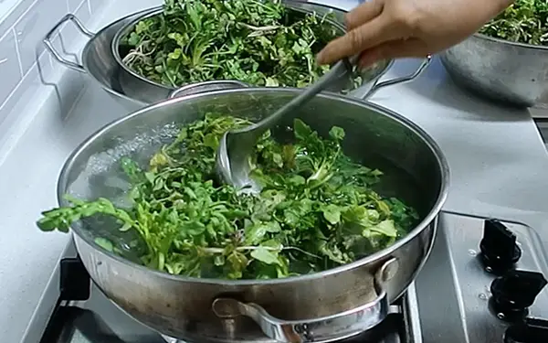 How to Prepare Sukchae (숙채) (blanched vegetables/ingredients with sauce)