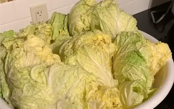 Preparation of Kimchi (Cut & Brine)