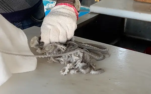 How to Prepare & Clean Whole Octopus