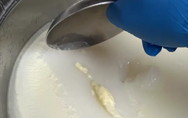 How to Remove Fat from Broth and Store Broth