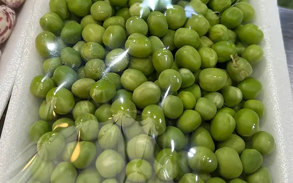 Green Pea 완두콩 (wan-du-kong)