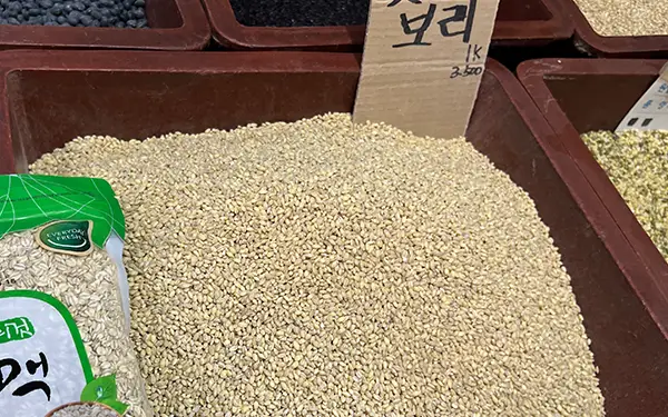 Barley 보리 (bo-ri)