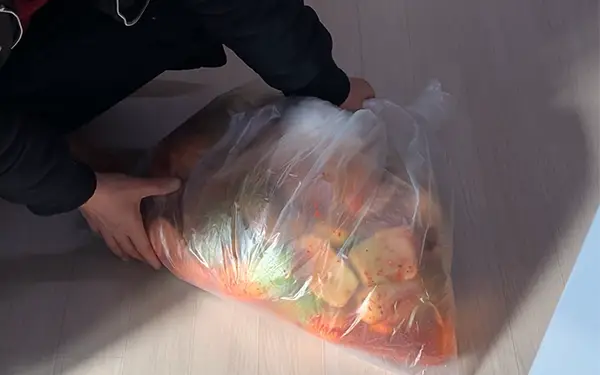 Fermentation of Kimchi