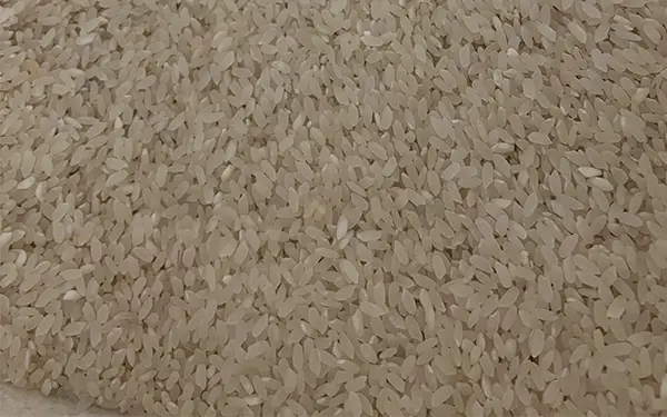 How to Remove Bugs in Your Rice