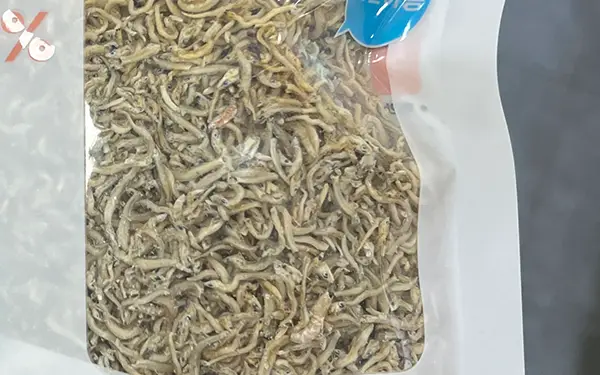 Best Proteins for Gimbap (김밥)