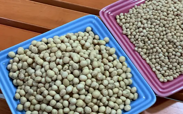 Soybean 콩 (kong) (Rice Mix)