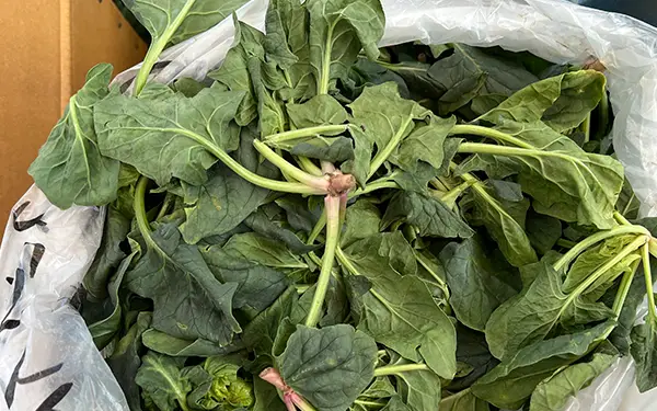 Best Vegetables for Gimbap (김밥)