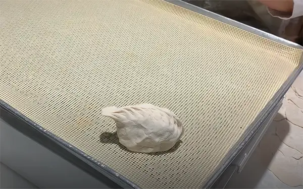 Dumpling Skin (만두피)